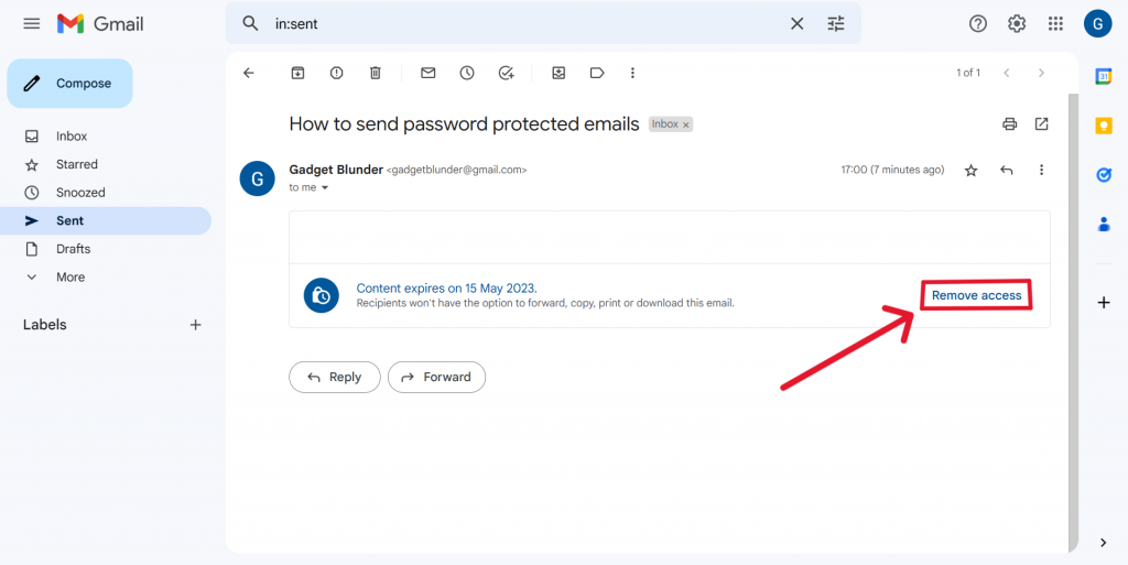 Remove access early to password protected email on Gmail