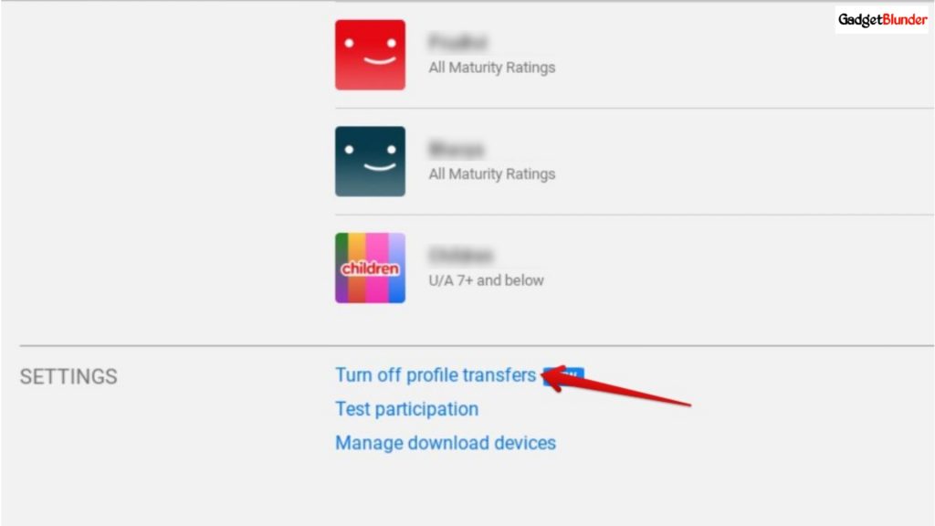 Enable or Disable Profile Transfer on Netflix
