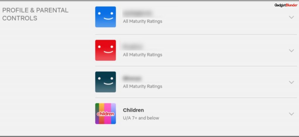 profile-and-parental-control-Netflix